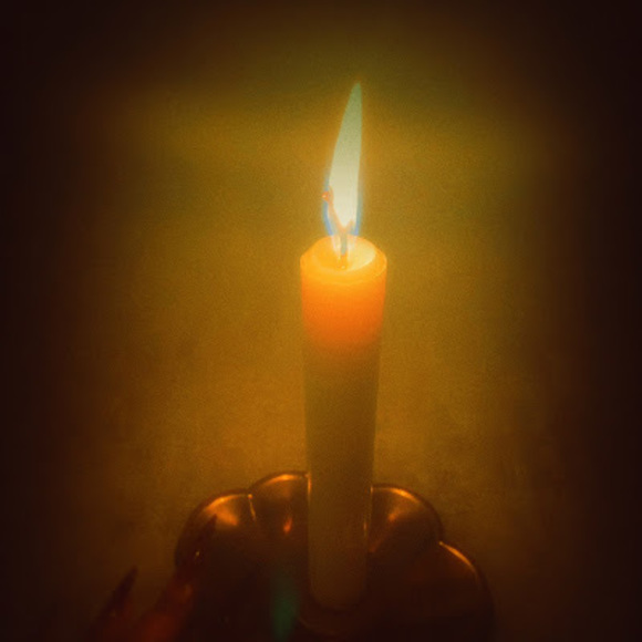 Meet your Posher, Tumi - Picture 1 of 1